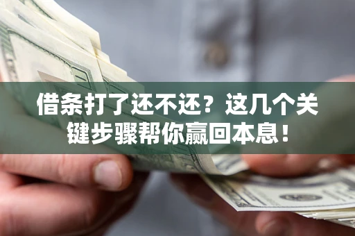 北京借条打了还不还？这几个关键步骤帮你赢回本息！