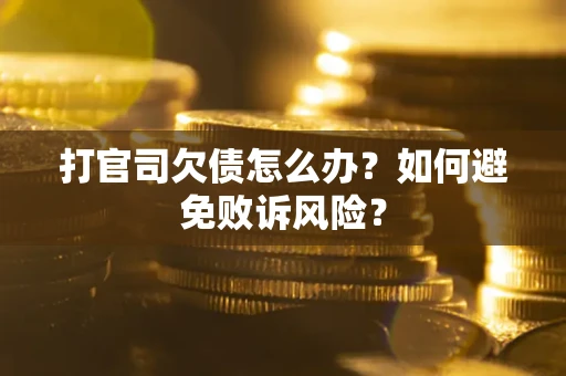 北京打官司欠债怎么办？如何避免败诉风险？