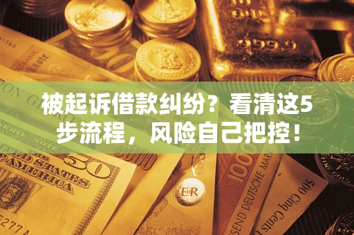 北京被起诉借款纠纷？看清这5步流程，风险自己把控！