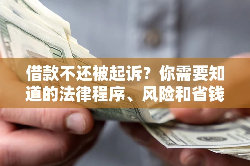 北京借款不还被起诉？你需要知道的法律程序、风险和省钱技巧