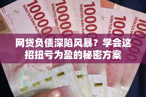 北京网贷负债深陷风暴？学会这招扭亏为盈的秘密方案
