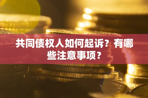 北京共同债权人如何起诉？有哪些注意事项？
